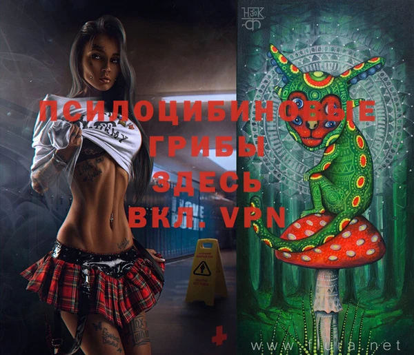 индика Саки