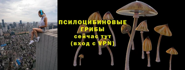 spice Рославль