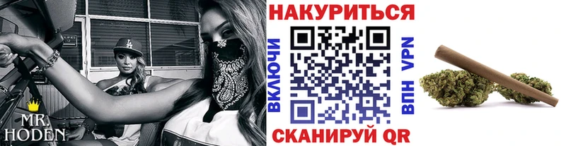 kraken вход  Чкаловск  Марихуана сатива 